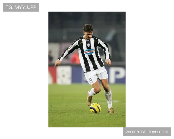 伊布拉希莫维奇：瑞典足球传奇的辉煌与挑战